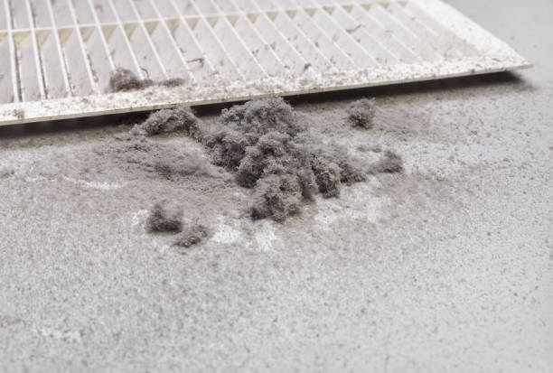 Best Ventilation Cleaning Services  in Myrtle Grove, NC