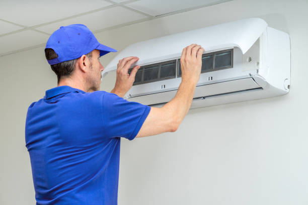 Air Duct Mold Removal in Myrtle Grove, NC