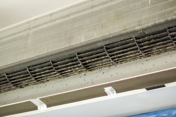 Best Affordable HVAC Duct Cleaning  in Myrtle Grove, NC