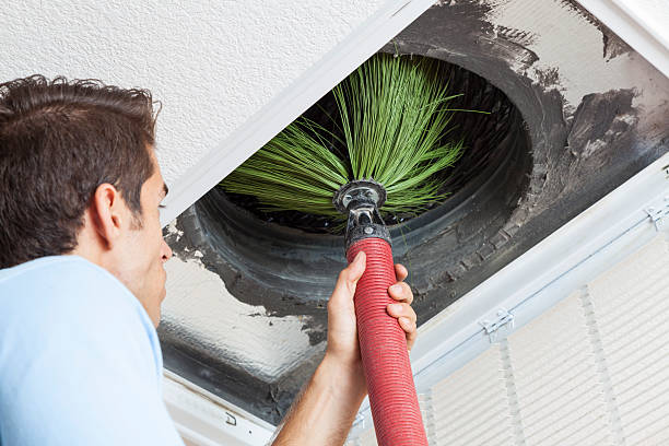 Best Home Air Vent Cleaning  in Myrtle Grove, NC
